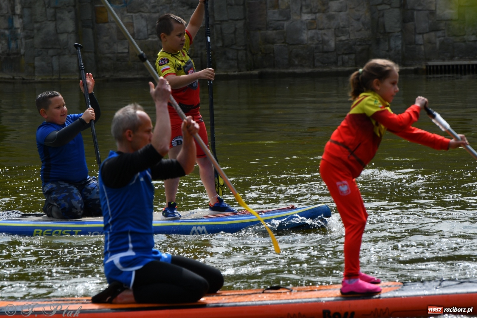 Zdjęcie w galerii na portalu naszraciborz.pl: Racibórz. Wielkie wiosłowanie w parku m. Roth wiadomości z regionu
