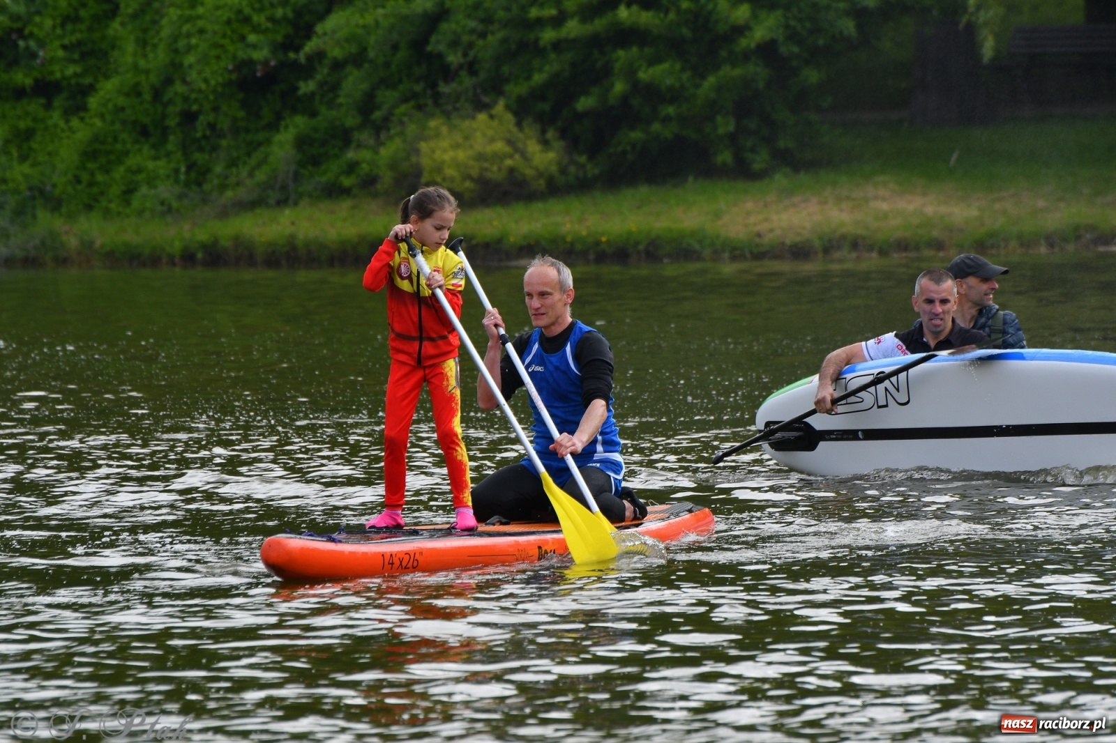 Zdjęcie w galerii na portalu naszraciborz.pl: Racibórz. Wielkie wiosłowanie w parku m. Roth wiadomości z regionu
