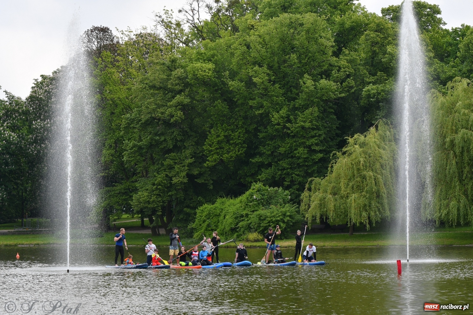 Zdjęcie w galerii na portalu naszraciborz.pl: Racibórz. Wielkie wiosłowanie w parku m. Roth wiadomości z regionu