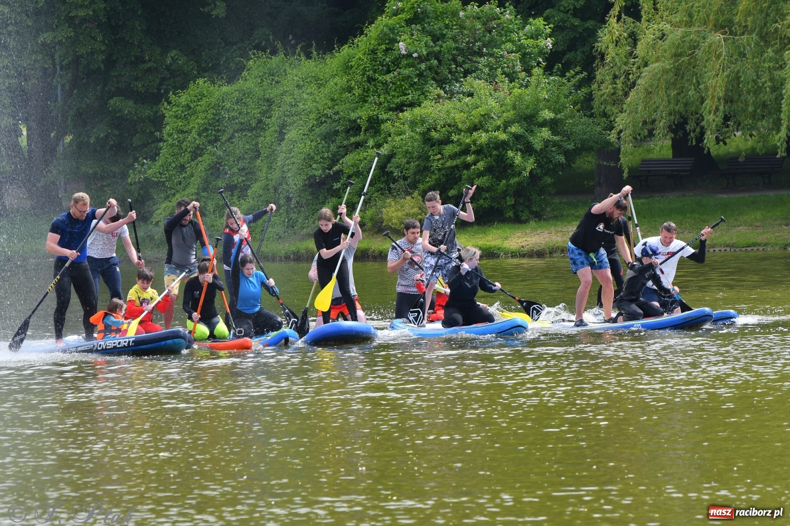 Zdjęcie w galerii na portalu naszraciborz.pl: Racibórz. Wielkie wiosłowanie w parku m. Roth wiadomości z regionu