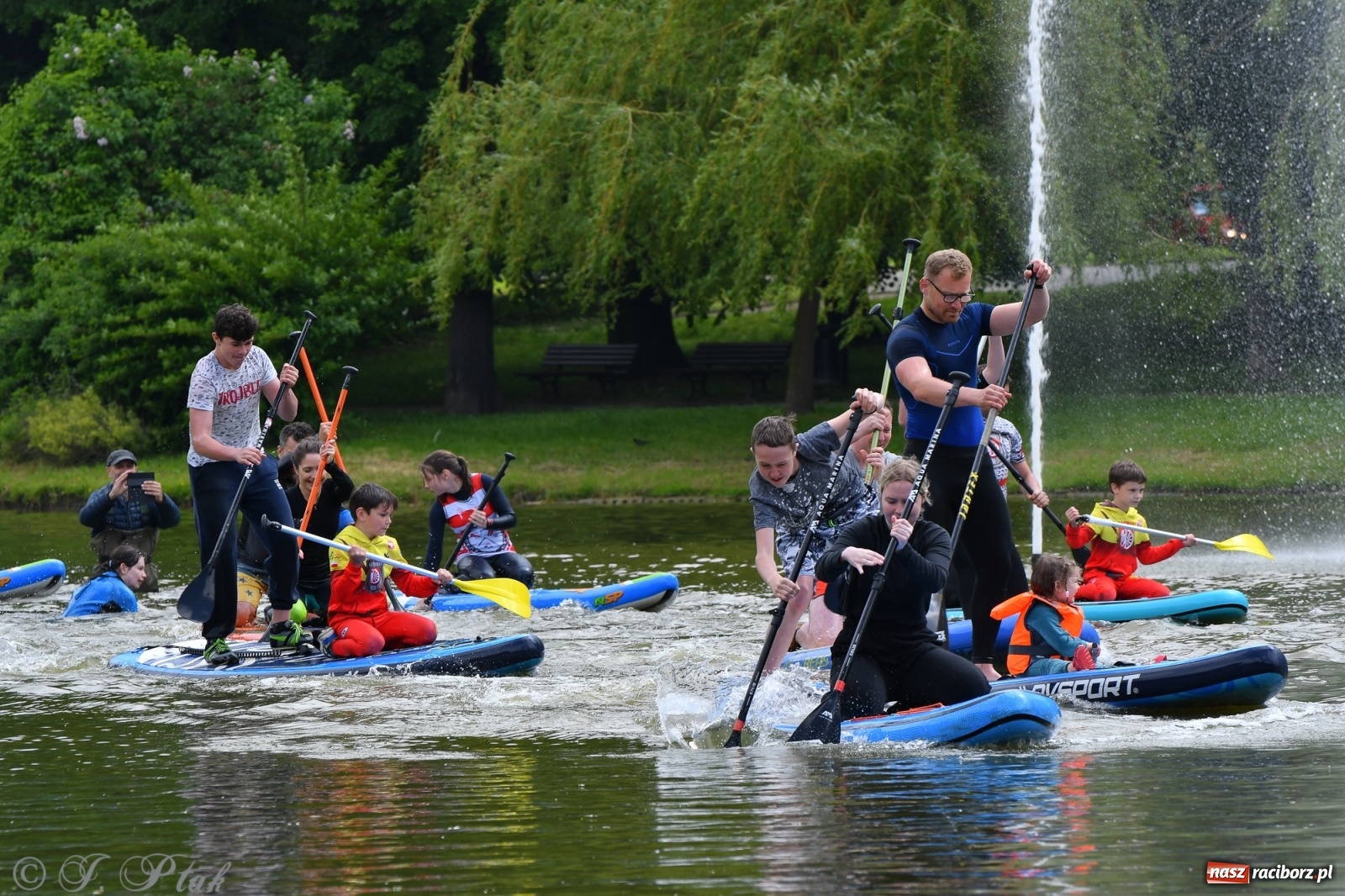 Zdjęcie w galerii na portalu naszraciborz.pl: Racibórz. Wielkie wiosłowanie w parku m. Roth wiadomości z regionu