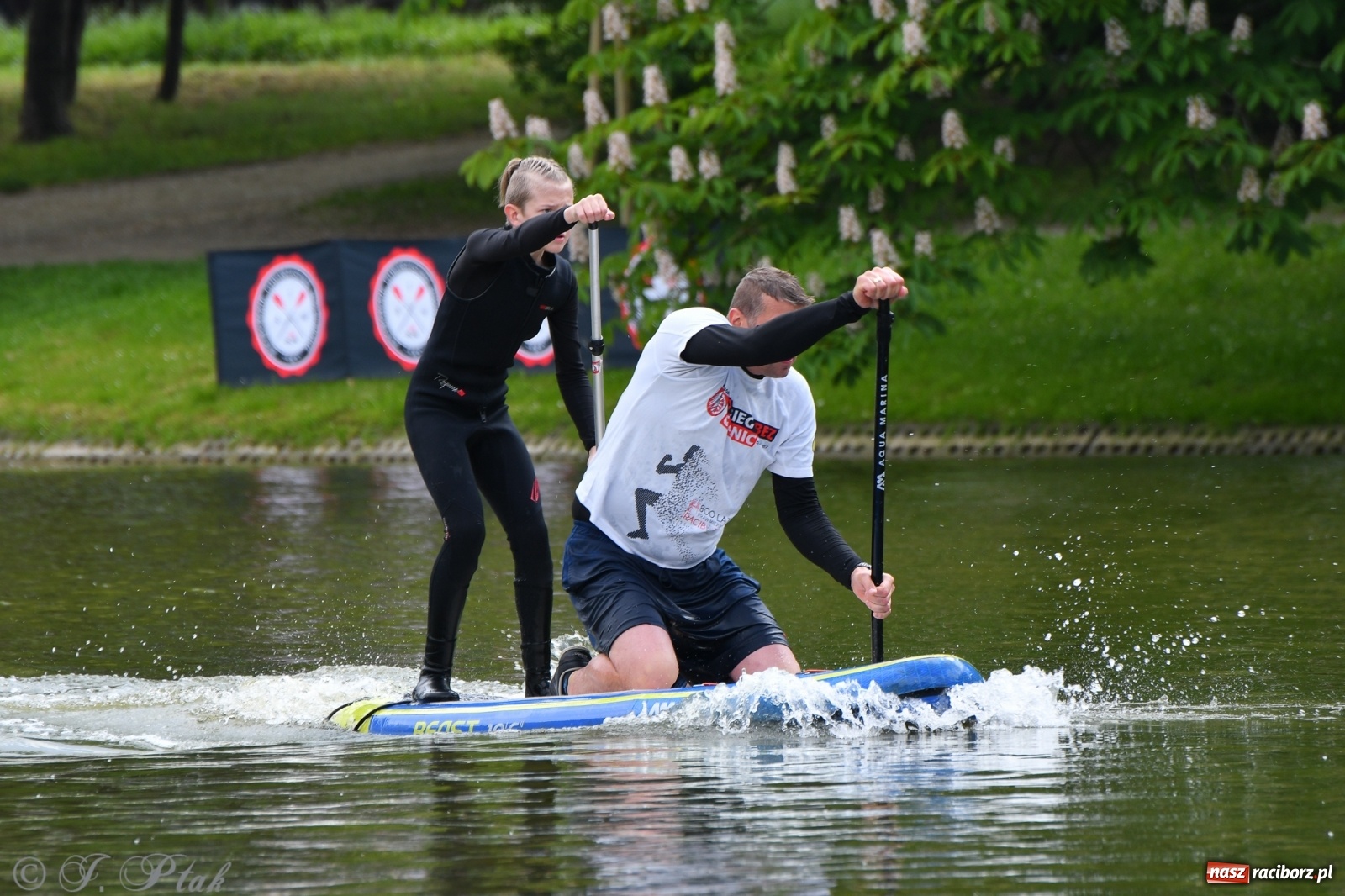Zdjęcie w galerii na portalu naszraciborz.pl: Racibórz. Wielkie wiosłowanie w parku m. Roth wiadomości z regionu