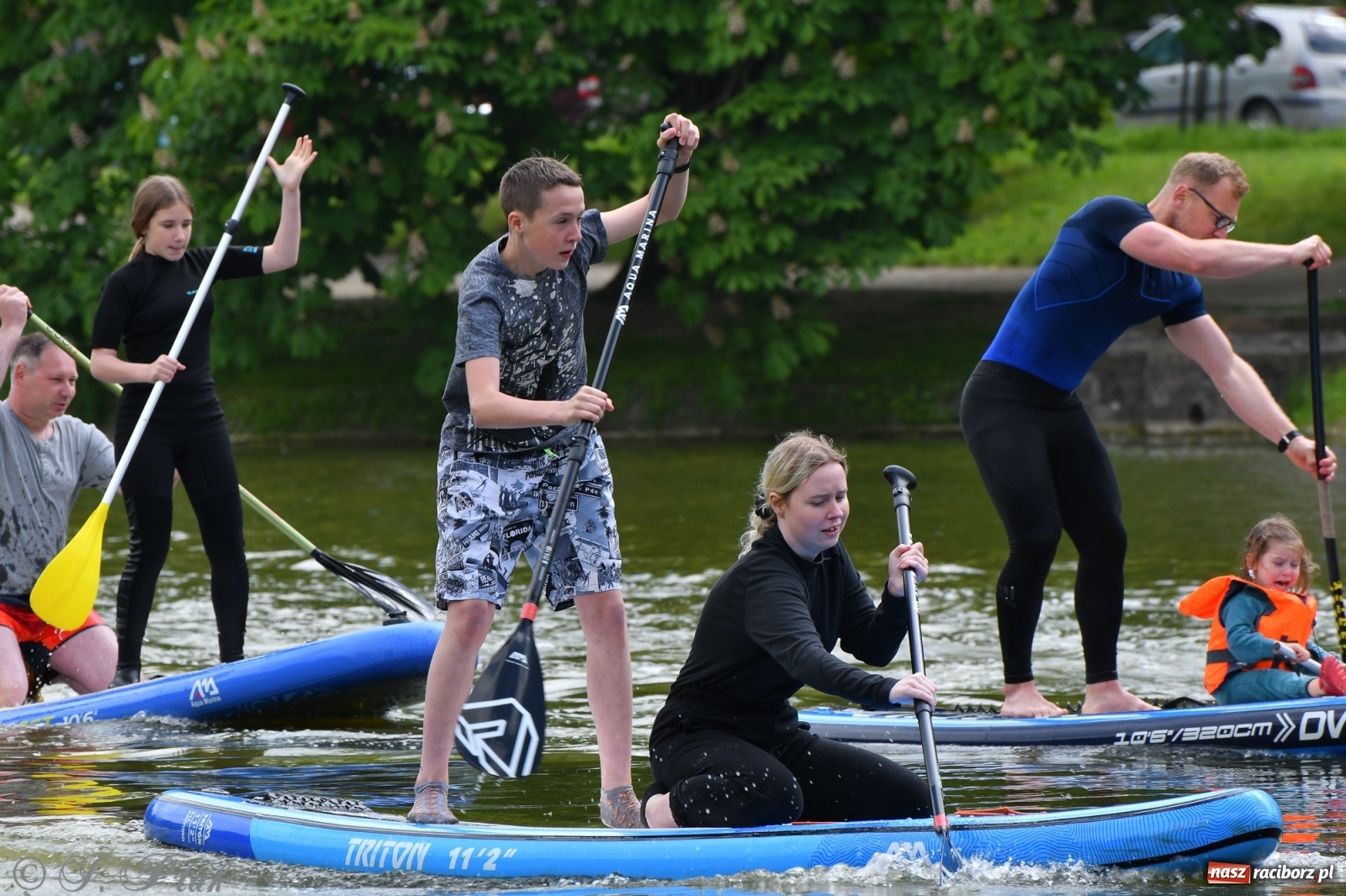 Zdjęcie w galerii na portalu naszraciborz.pl: Racibórz. Wielkie wiosłowanie w parku m. Roth wiadomości z regionu