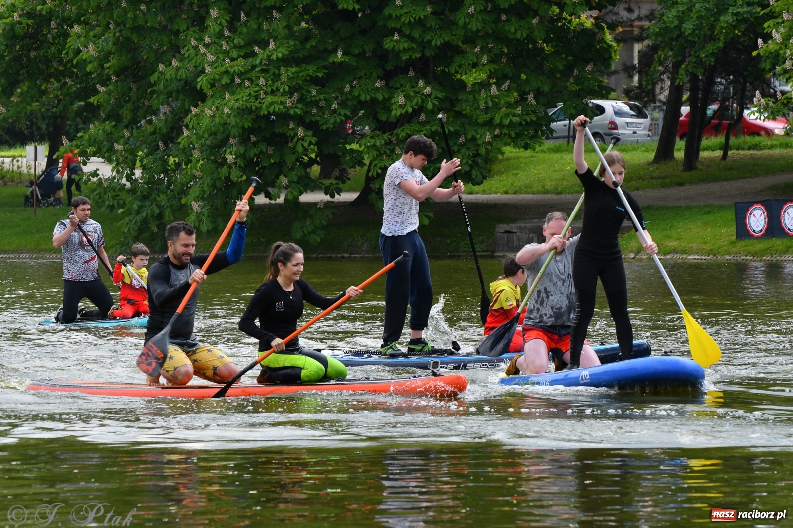 Zdjęcie w galerii na portalu naszraciborz.pl: Racibórz. Wielkie wiosłowanie w parku m. Roth wiadomości z regionu