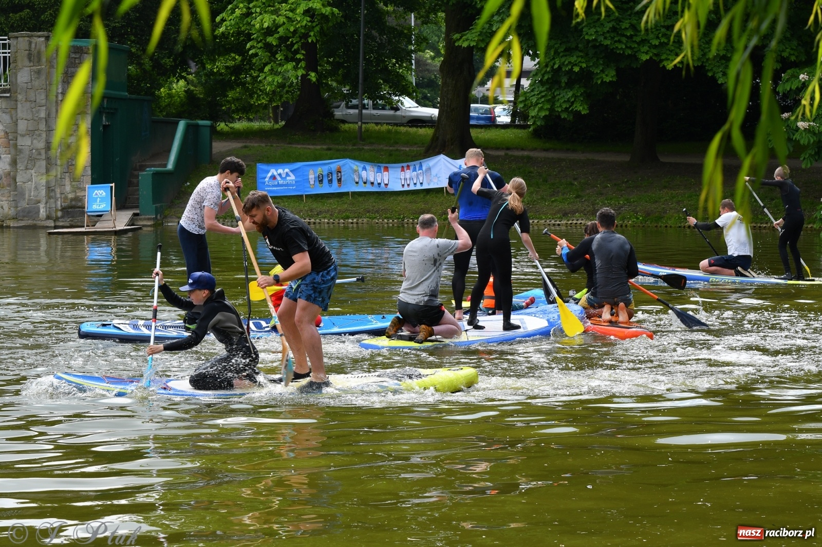 Zdjęcie w galerii na portalu naszraciborz.pl: Racibórz. Wielkie wiosłowanie w parku m. Roth wiadomości z regionu