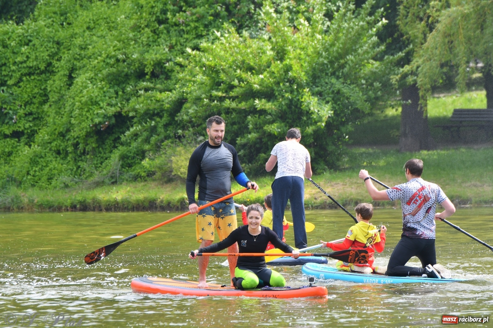 Zdjęcie w galerii na portalu naszraciborz.pl: Racibórz. Wielkie wiosłowanie w parku m. Roth wiadomości z regionu