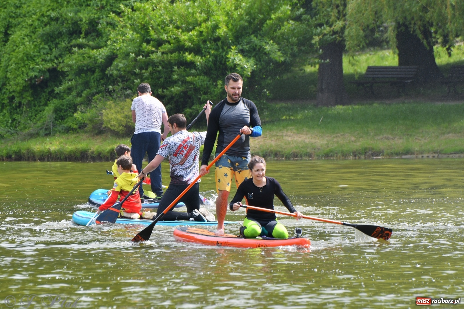 Zdjęcie w galerii na portalu naszraciborz.pl: Racibórz. Wielkie wiosłowanie w parku m. Roth wiadomości z regionu