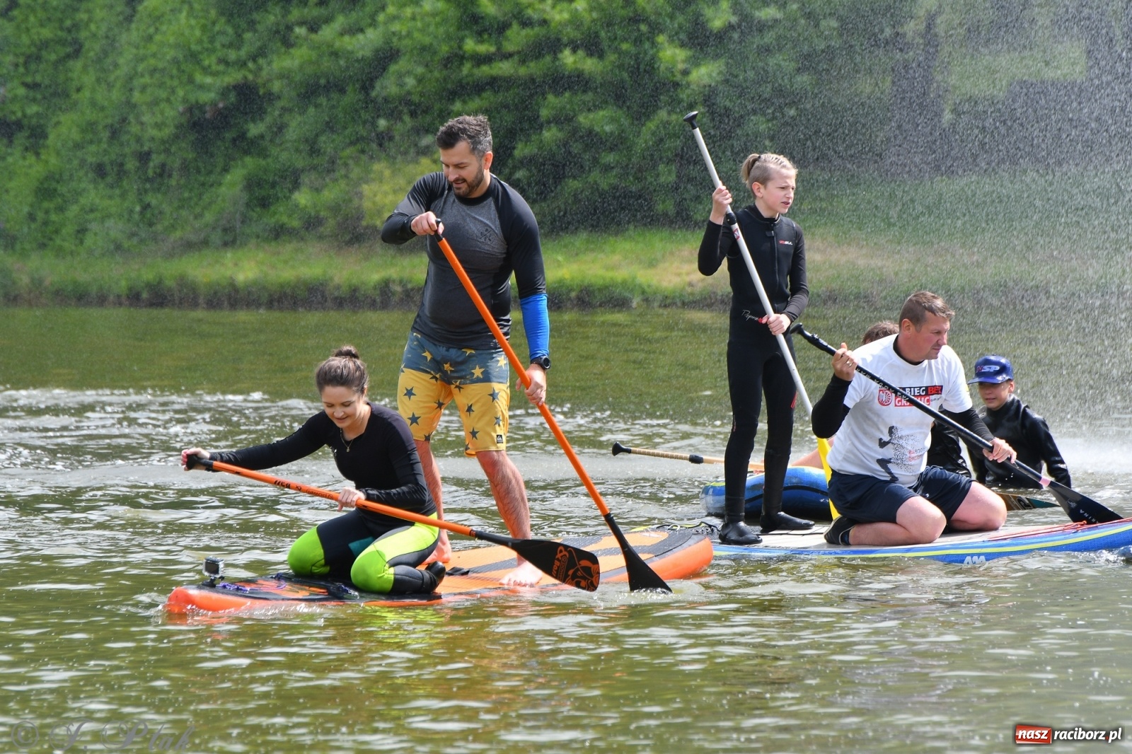 Zdjęcie w galerii na portalu naszraciborz.pl: Racibórz. Wielkie wiosłowanie w parku m. Roth wiadomości z regionu