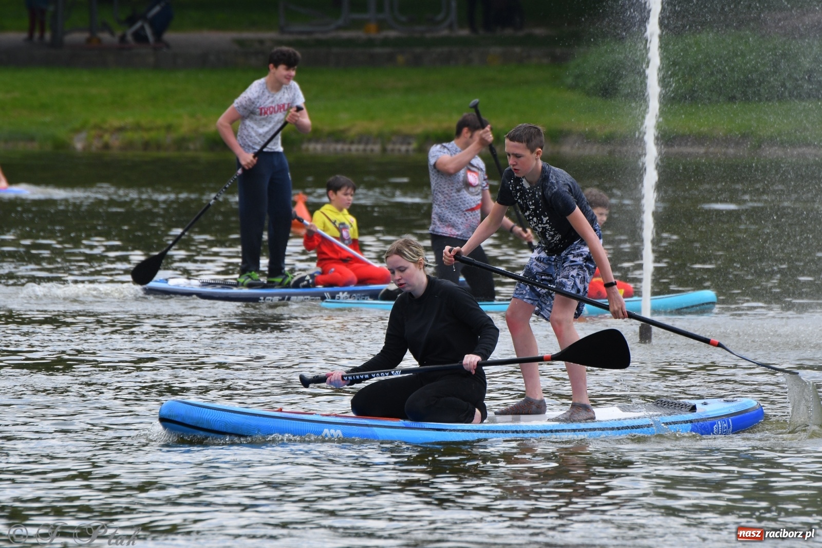 Zdjęcie w galerii na portalu naszraciborz.pl: Racibórz. Wielkie wiosłowanie w parku m. Roth wiadomości z regionu