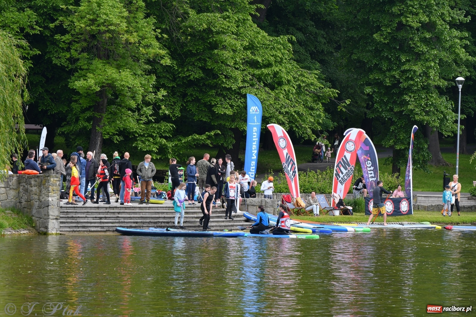Zdjęcie w galerii na portalu naszraciborz.pl: Racibórz. Wielkie wiosłowanie w parku m. Roth wiadomości z regionu