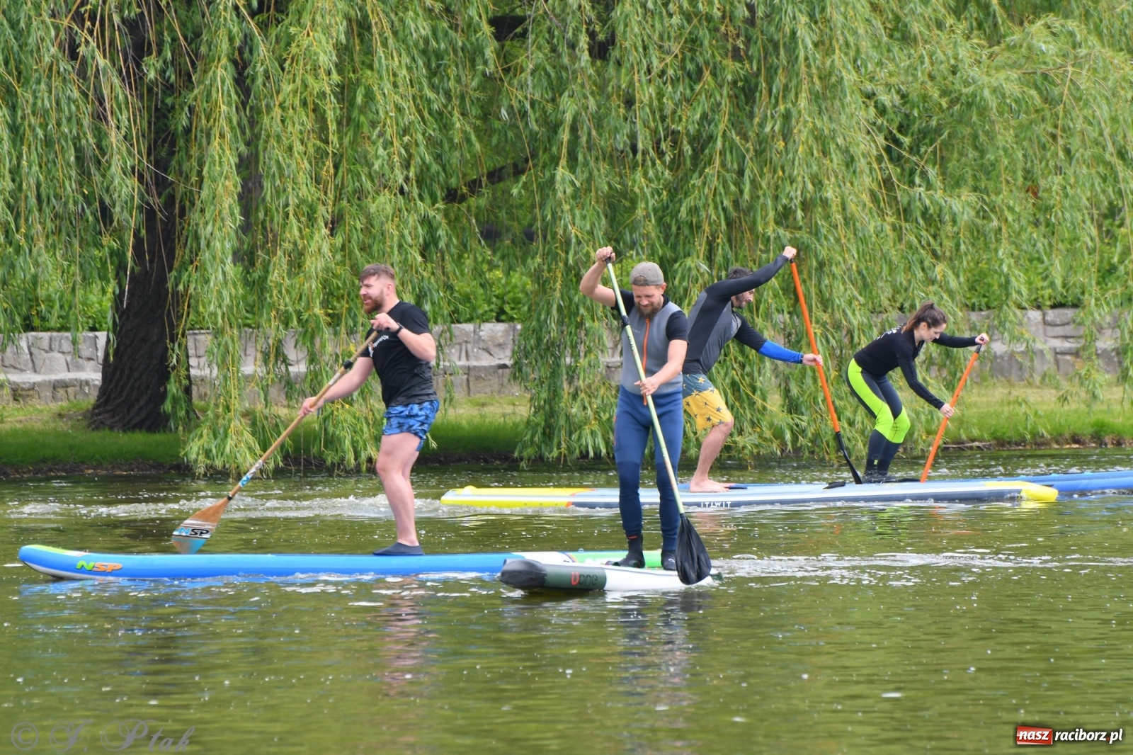 Zdjęcie w galerii na portalu naszraciborz.pl: Racibórz. Wielkie wiosłowanie w parku m. Roth wiadomości z regionu