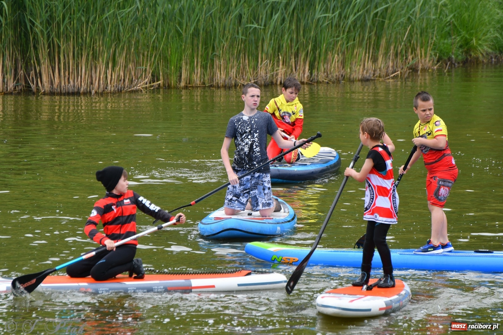 Zdjęcie w galerii na portalu naszraciborz.pl: Racibórz. Wielkie wiosłowanie w parku m. Roth wiadomości z regionu