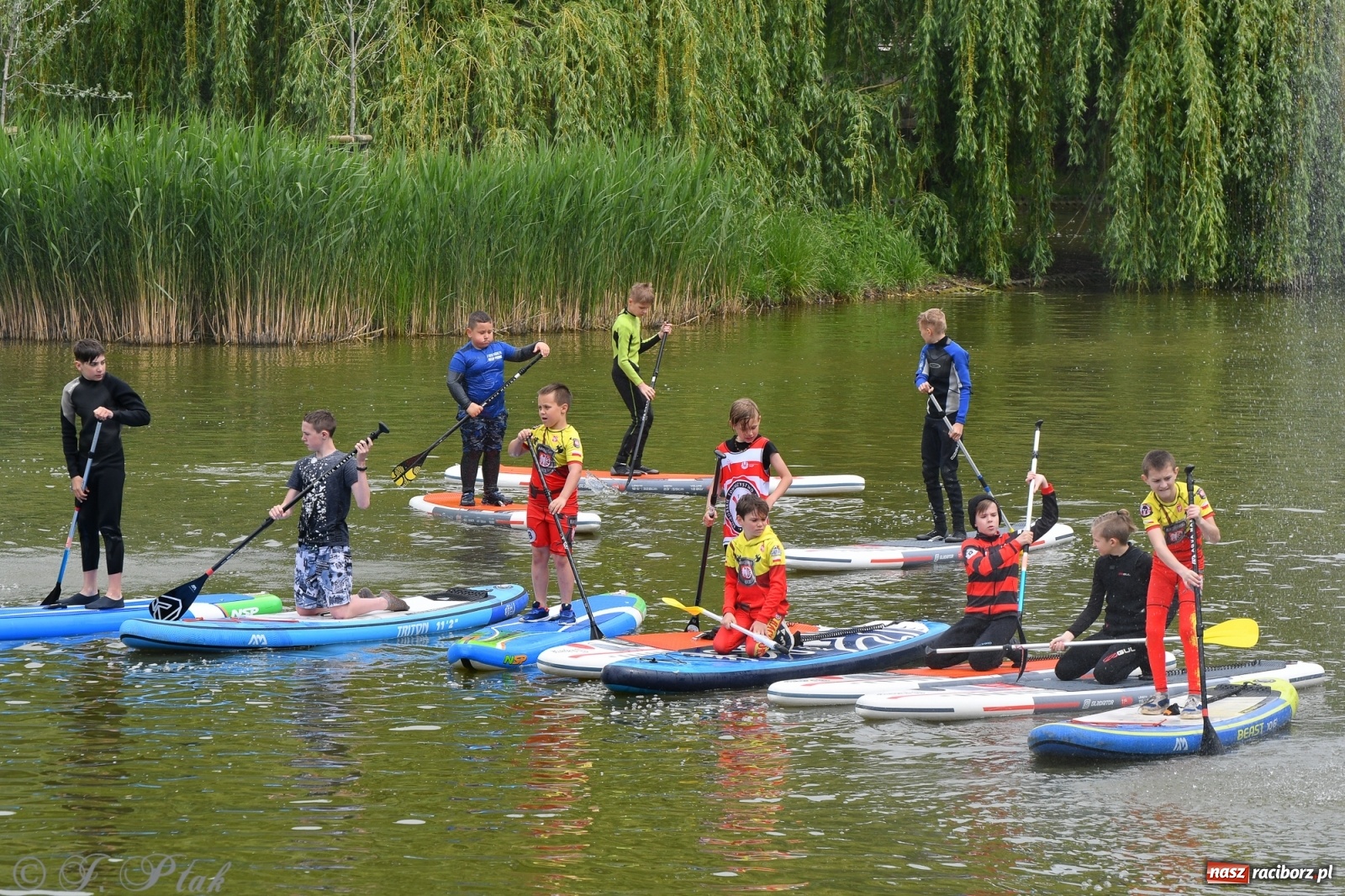 Zdjęcie w galerii na portalu naszraciborz.pl: Racibórz. Wielkie wiosłowanie w parku m. Roth wiadomości z regionu