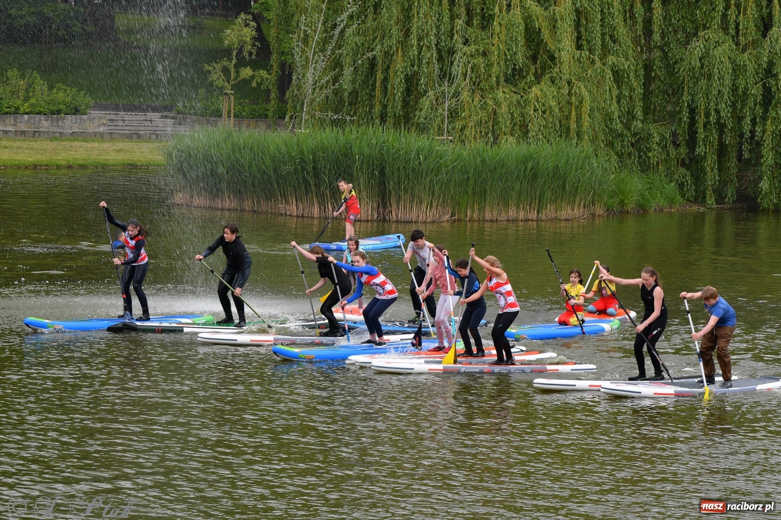 Zdjęcie w galerii na portalu naszraciborz.pl: Racibórz. Wielkie wiosłowanie w parku m. Roth wiadomości z regionu