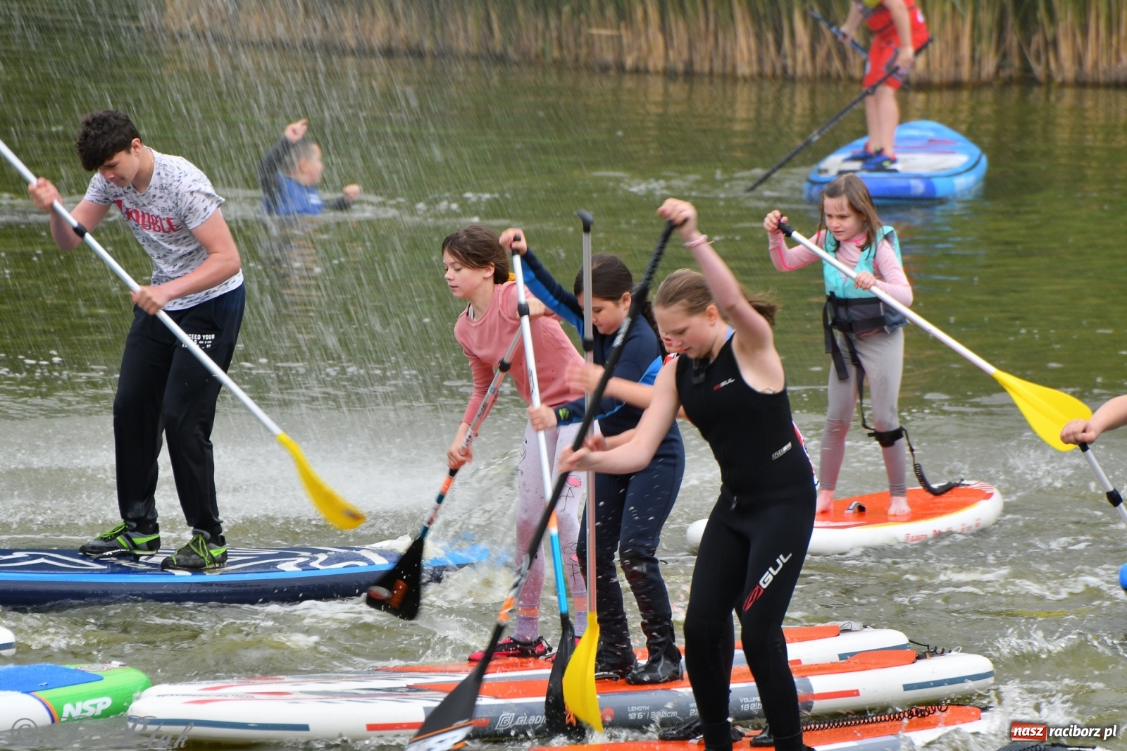 Zdjęcie w galerii na portalu naszraciborz.pl: Racibórz. Wielkie wiosłowanie w parku m. Roth wiadomości z regionu