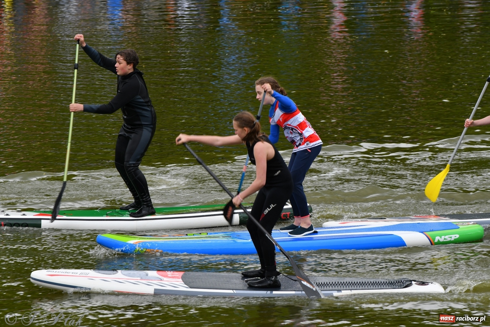 Zdjęcie w galerii na portalu naszraciborz.pl: Racibórz. Wielkie wiosłowanie w parku m. Roth wiadomości z regionu