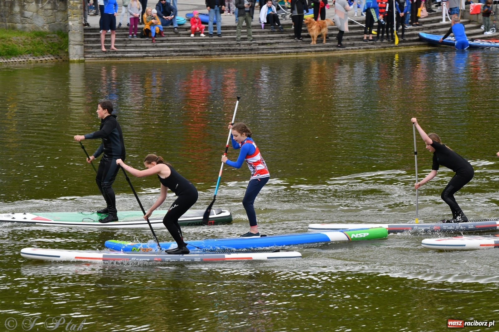 Zdjęcie w galerii na portalu naszraciborz.pl: Racibórz. Wielkie wiosłowanie w parku m. Roth wiadomości z regionu