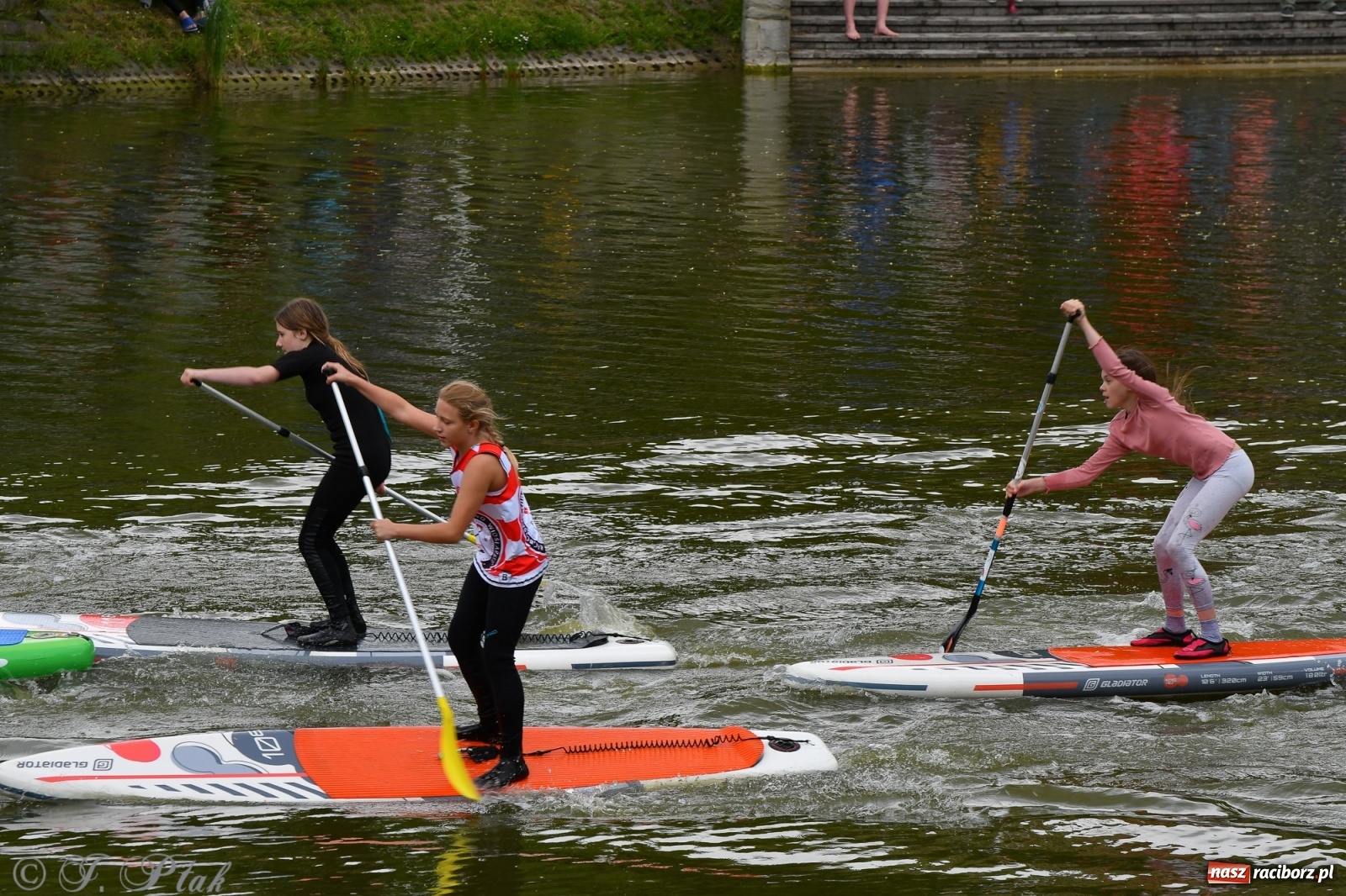 Zdjęcie w galerii na portalu naszraciborz.pl: Racibórz. Wielkie wiosłowanie w parku m. Roth wiadomości z regionu