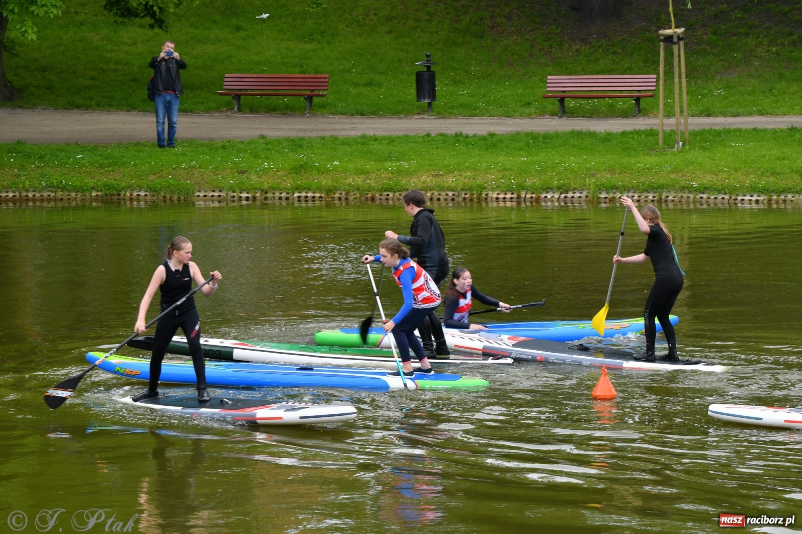 Zdjęcie w galerii na portalu naszraciborz.pl: Racibórz. Wielkie wiosłowanie w parku m. Roth wiadomości z regionu