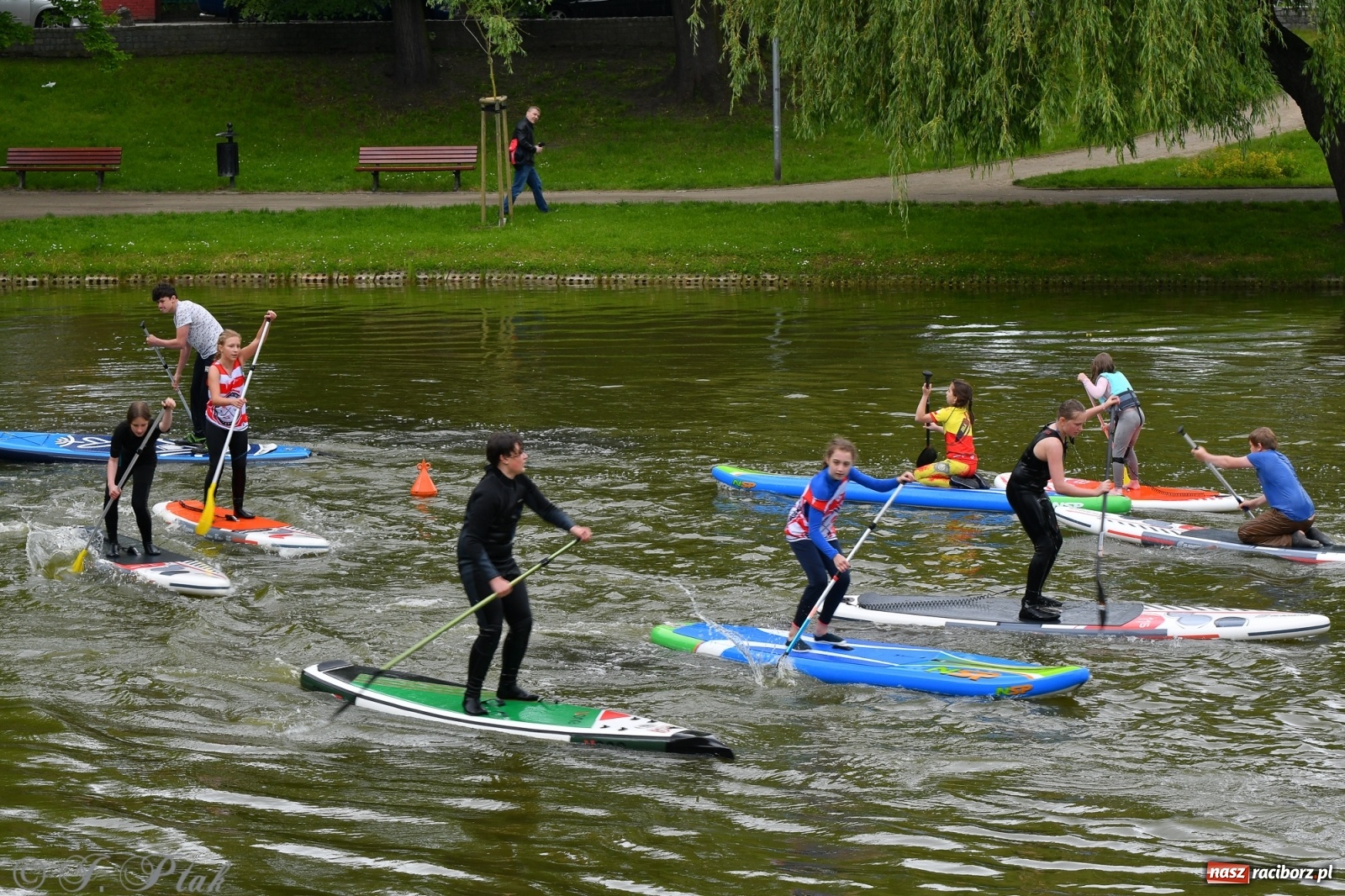 Zdjęcie w galerii na portalu naszraciborz.pl: Racibórz. Wielkie wiosłowanie w parku m. Roth wiadomości z regionu