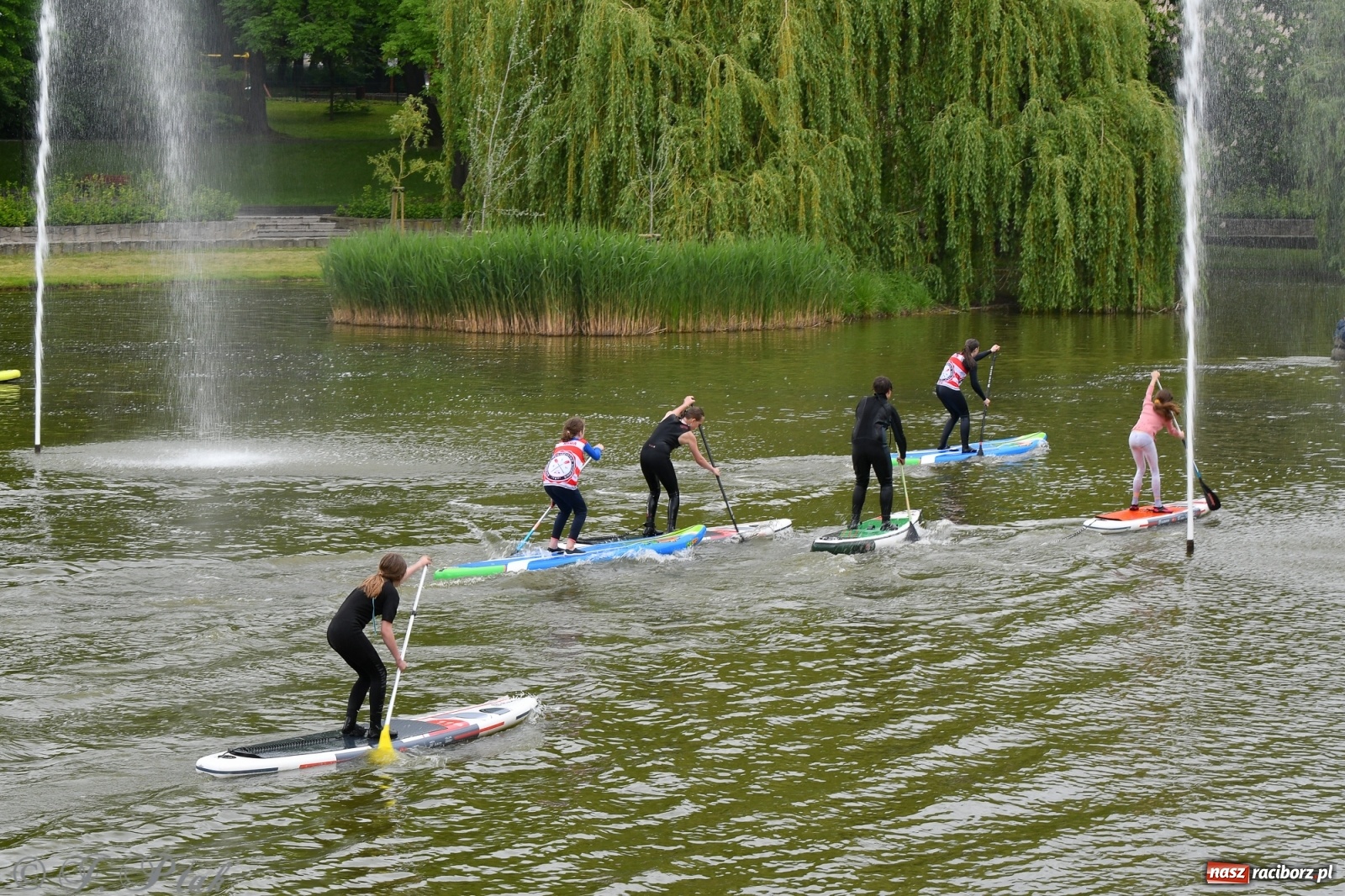 Zdjęcie w galerii na portalu naszraciborz.pl: Racibórz. Wielkie wiosłowanie w parku m. Roth wiadomości z regionu