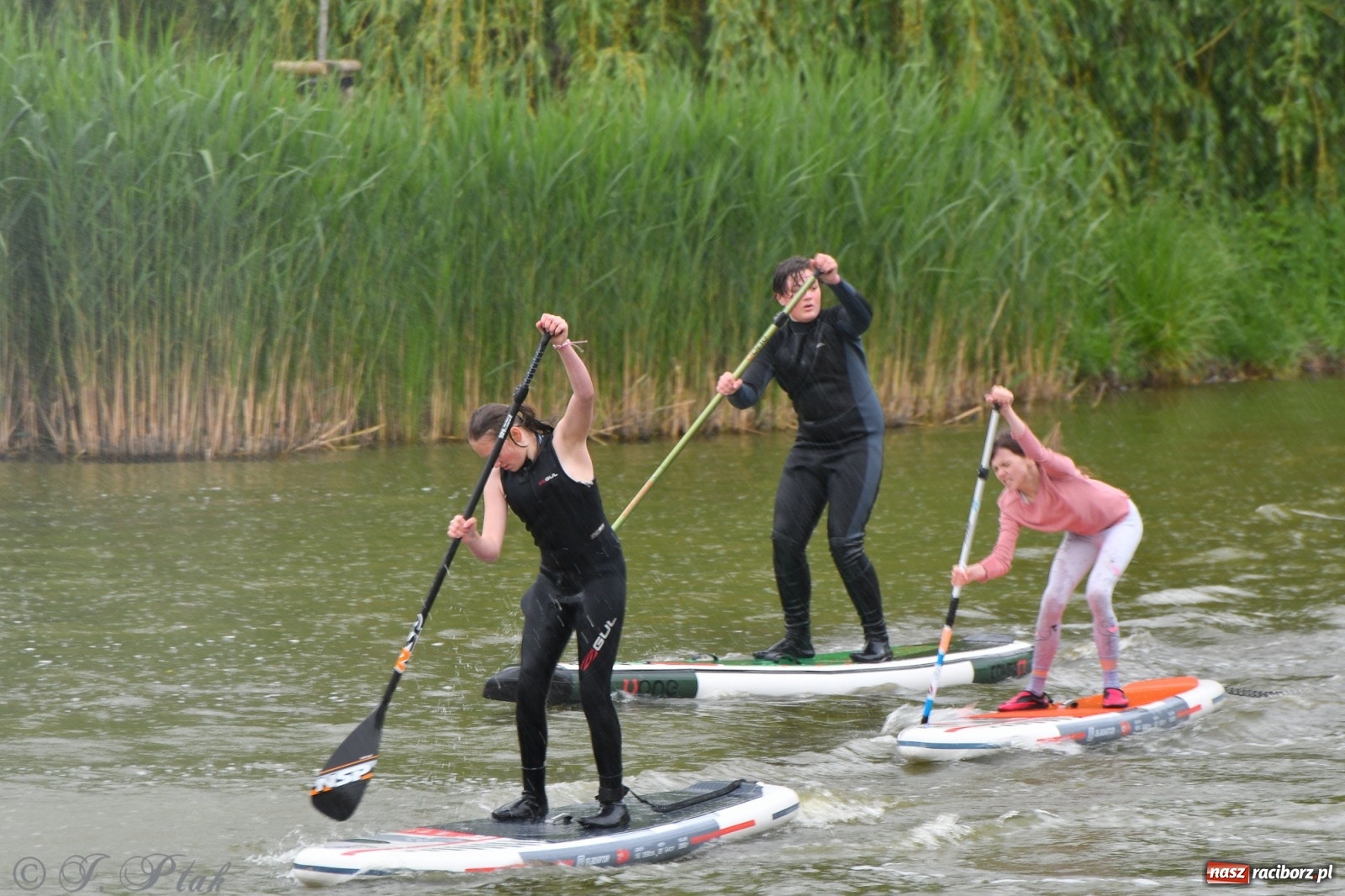 Zdjęcie w galerii na portalu naszraciborz.pl: Racibórz. Wielkie wiosłowanie w parku m. Roth wiadomości z regionu