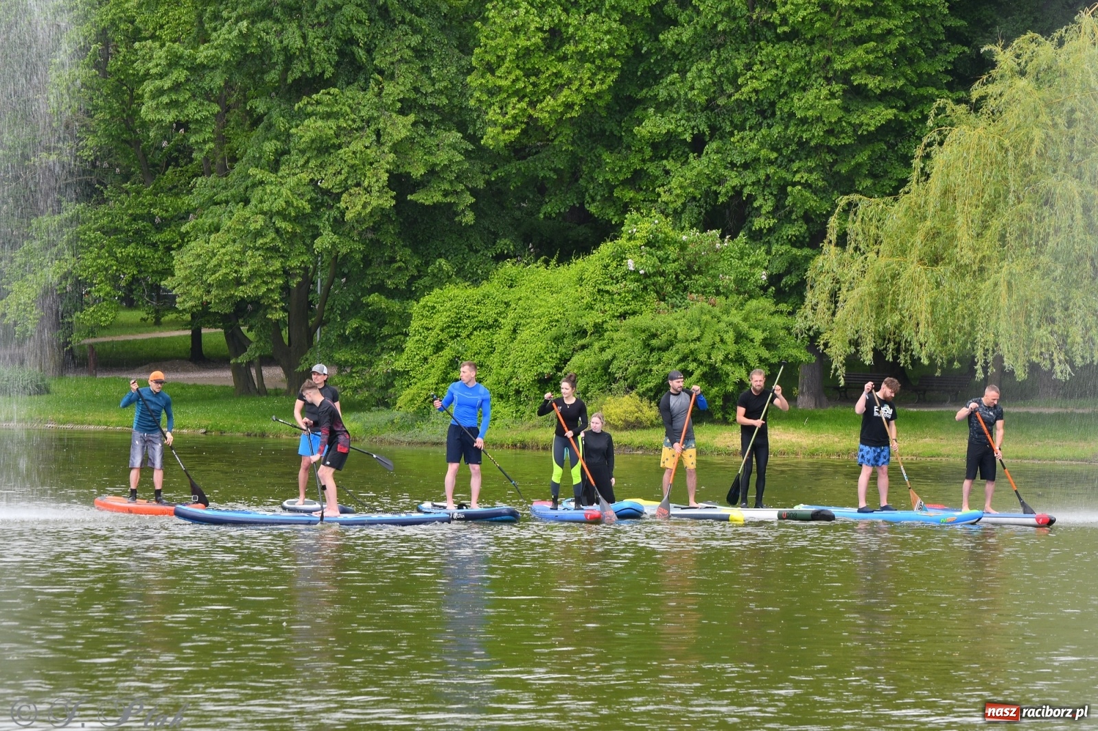 Zdjęcie w galerii na portalu naszraciborz.pl: Racibórz. Wielkie wiosłowanie w parku m. Roth wiadomości z regionu