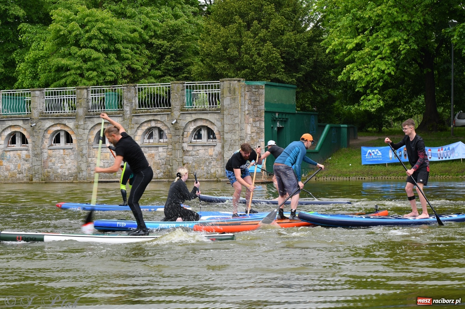 Zdjęcie w galerii na portalu naszraciborz.pl: Racibórz. Wielkie wiosłowanie w parku m. Roth wiadomości z regionu