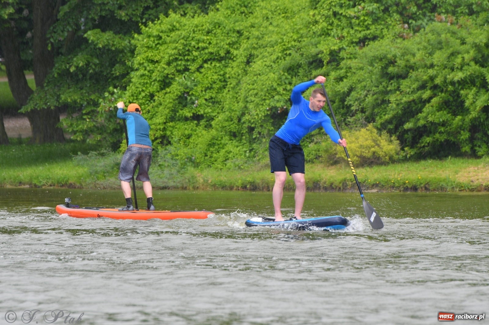 Zdjęcie w galerii na portalu naszraciborz.pl: Racibórz. Wielkie wiosłowanie w parku m. Roth wiadomości z regionu