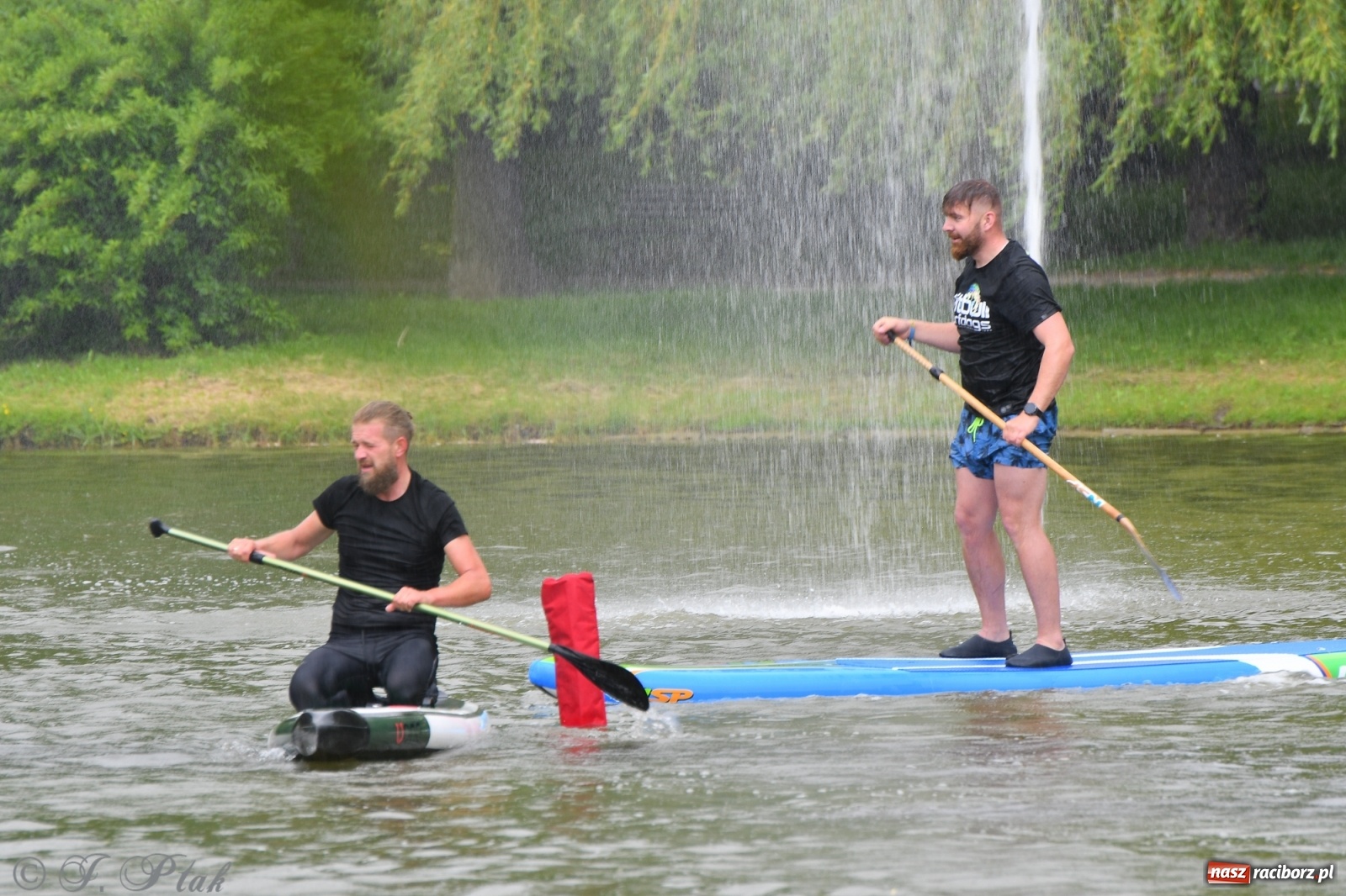 Zdjęcie w galerii na portalu naszraciborz.pl: Racibórz. Wielkie wiosłowanie w parku m. Roth wiadomości z regionu