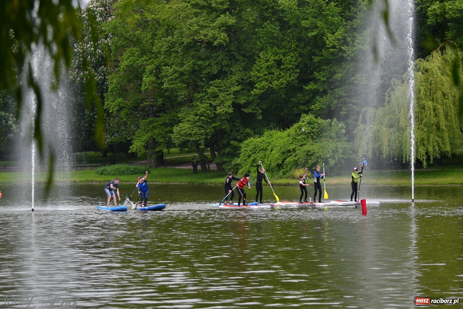 Zdjęcie w galerii na portalu naszraciborz.pl: Racibórz. Wielkie wiosłowanie w parku m. Roth wiadomości z regionu