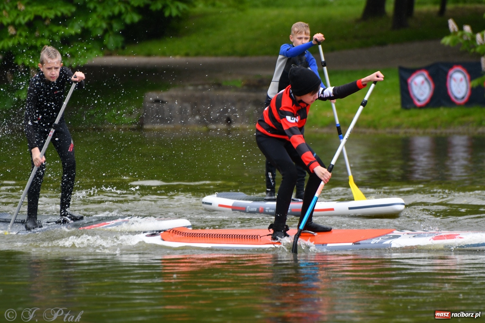Zdjęcie w galerii na portalu naszraciborz.pl: Racibórz. Wielkie wiosłowanie w parku m. Roth wiadomości z regionu
