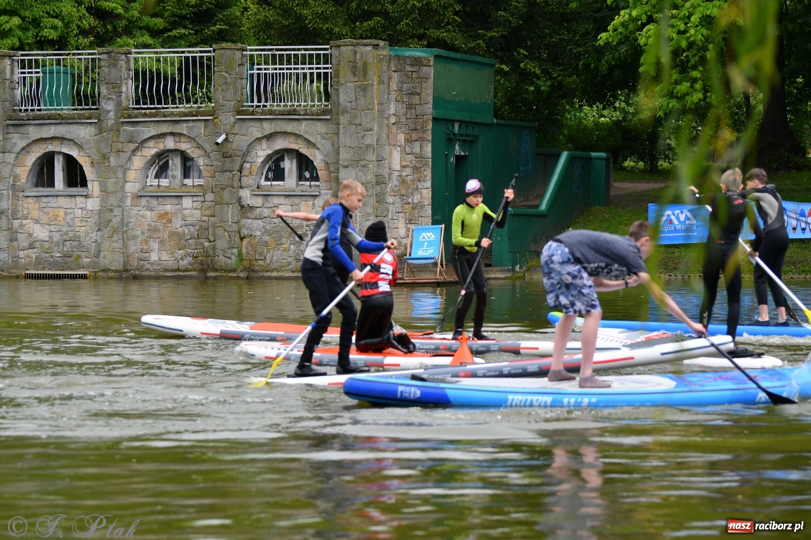 Zdjęcie w galerii na portalu naszraciborz.pl: Racibórz. Wielkie wiosłowanie w parku m. Roth wiadomości z regionu
