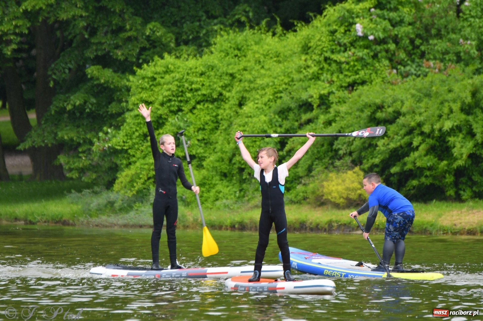 Zdjęcie w galerii na portalu naszraciborz.pl: Racibórz. Wielkie wiosłowanie w parku m. Roth wiadomości z regionu