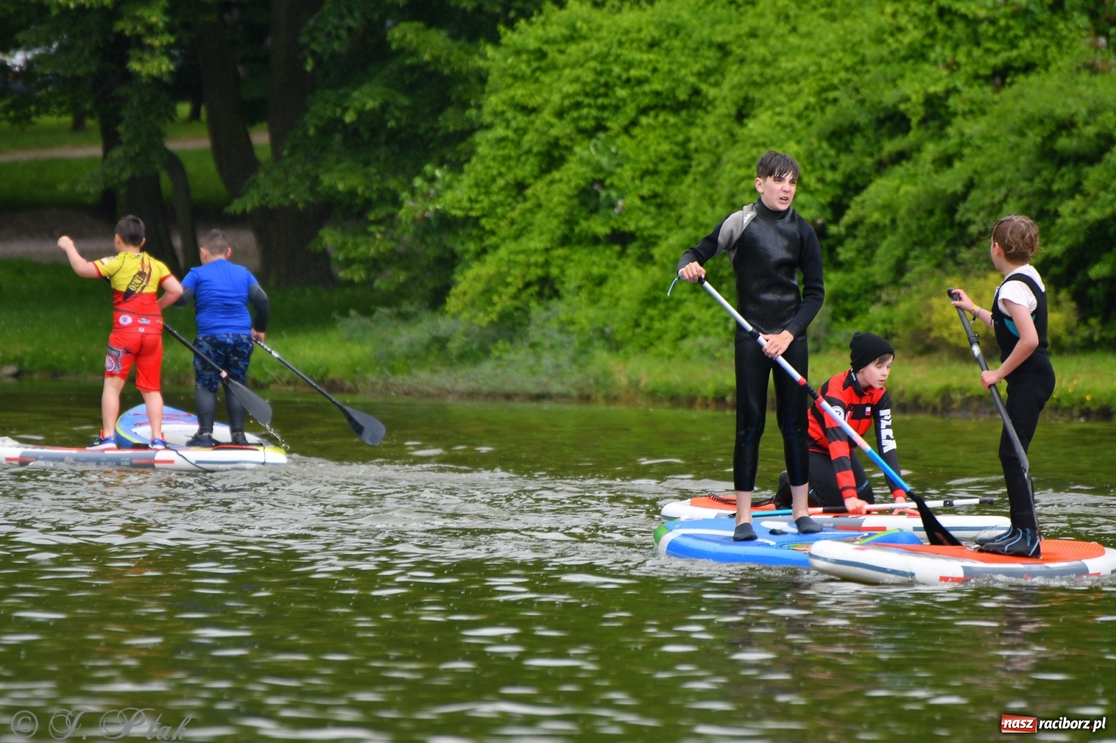 Zdjęcie w galerii na portalu naszraciborz.pl: Racibórz. Wielkie wiosłowanie w parku m. Roth wiadomości z regionu