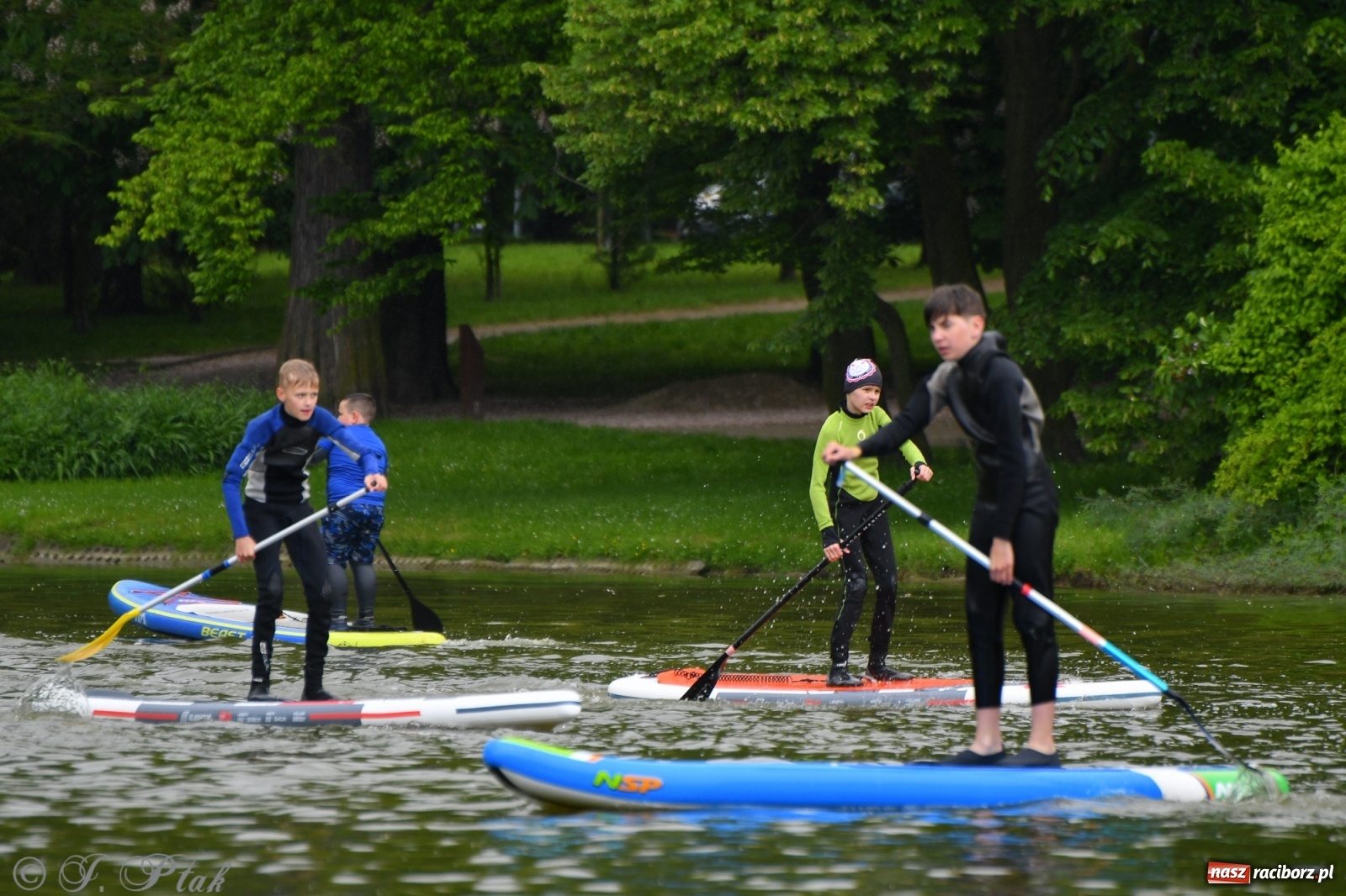 Zdjęcie w galerii na portalu naszraciborz.pl: Racibórz. Wielkie wiosłowanie w parku m. Roth wiadomości z regionu