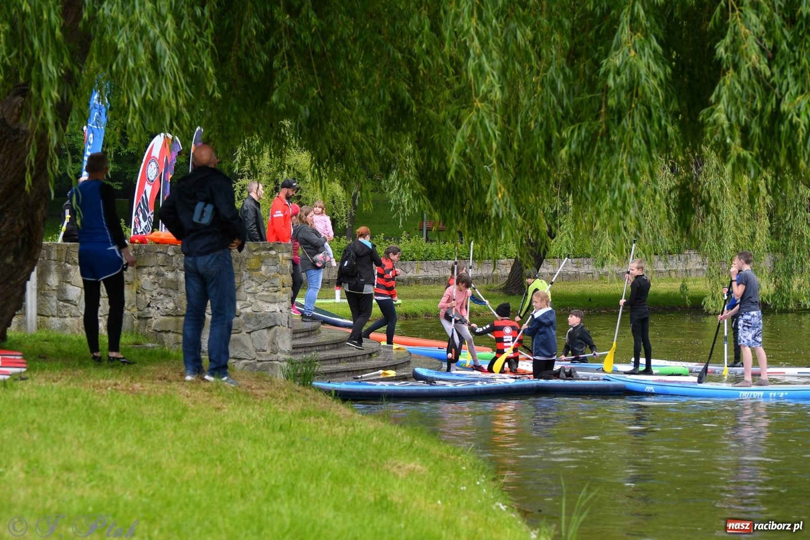 Zdjęcie w galerii na portalu naszraciborz.pl: Racibórz. Wielkie wiosłowanie w parku m. Roth wiadomości z regionu