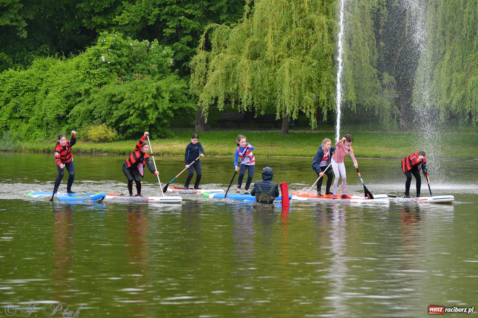 Zdjęcie w galerii na portalu naszraciborz.pl: Racibórz. Wielkie wiosłowanie w parku m. Roth wiadomości z regionu