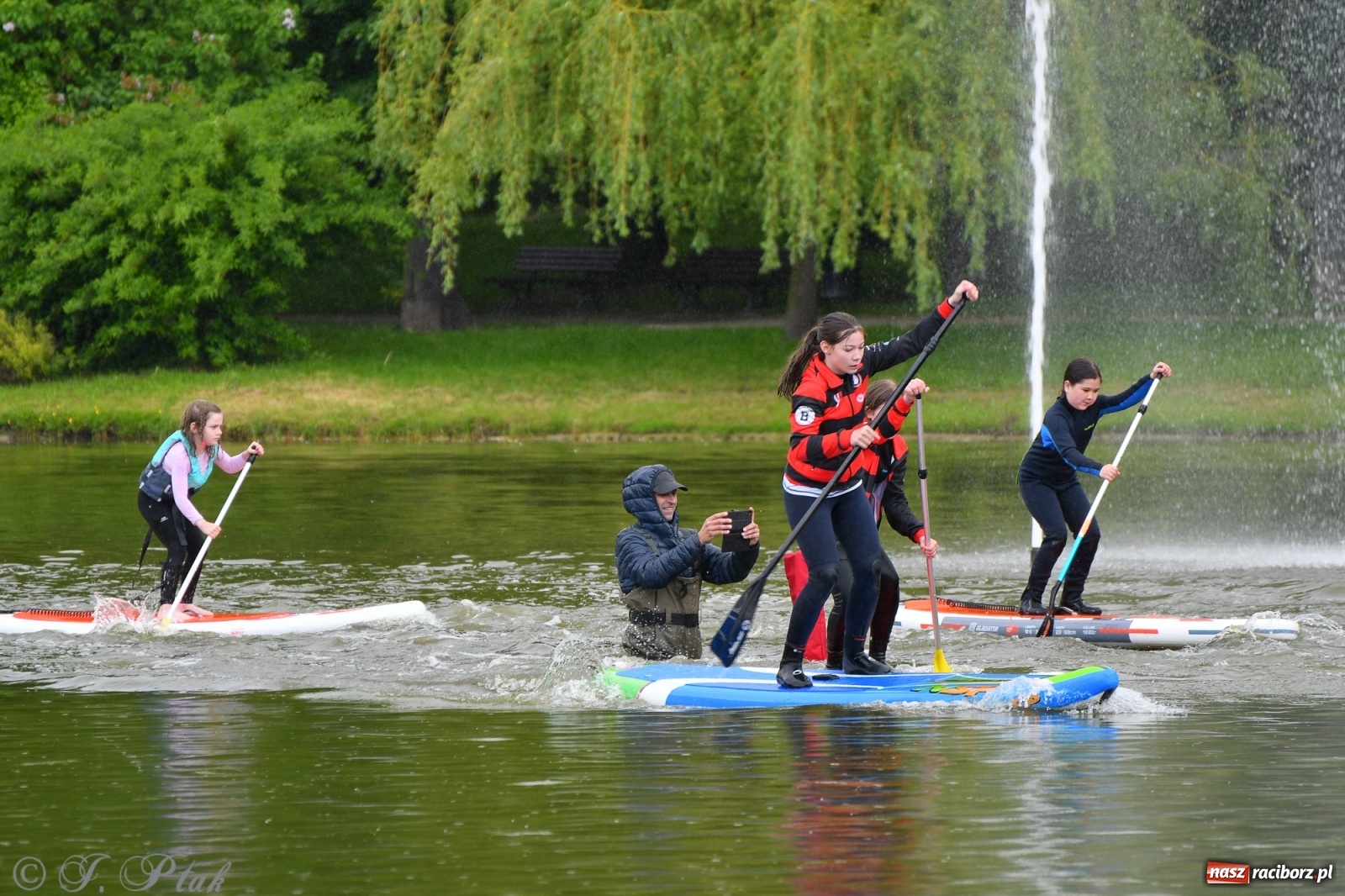 Zdjęcie w galerii na portalu naszraciborz.pl: Racibórz. Wielkie wiosłowanie w parku m. Roth wiadomości z regionu