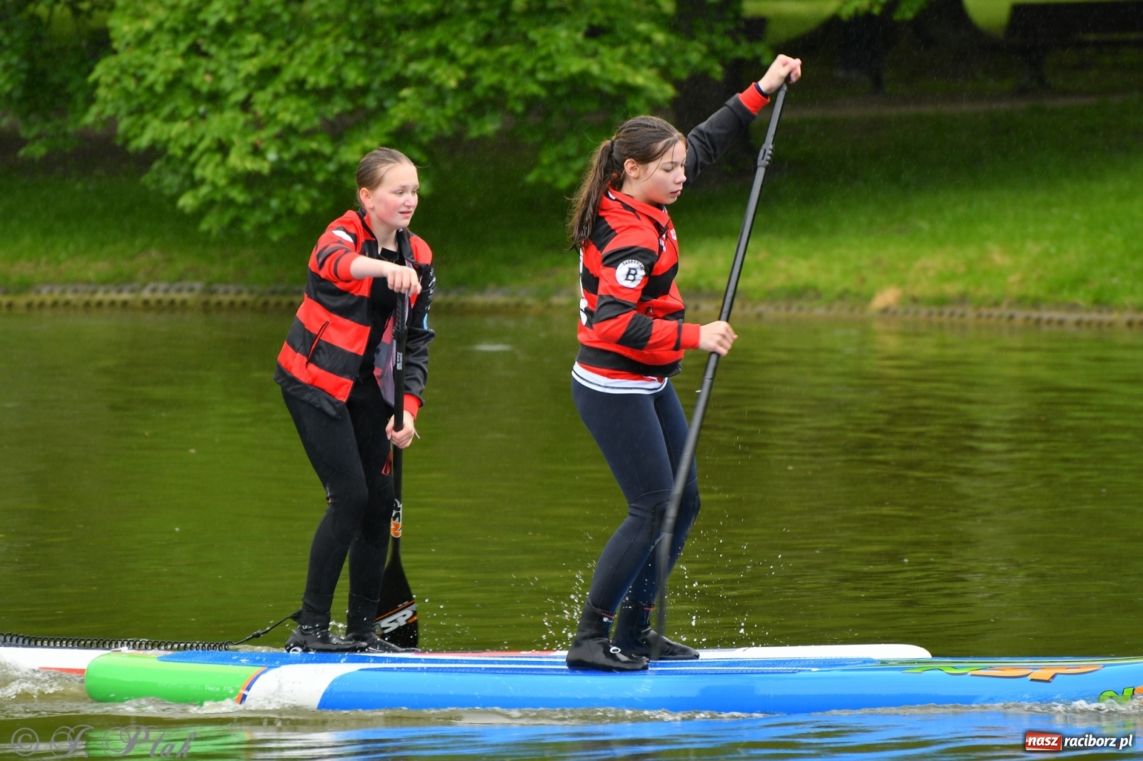 Zdjęcie w galerii na portalu naszraciborz.pl: Racibórz. Wielkie wiosłowanie w parku m. Roth wiadomości z regionu