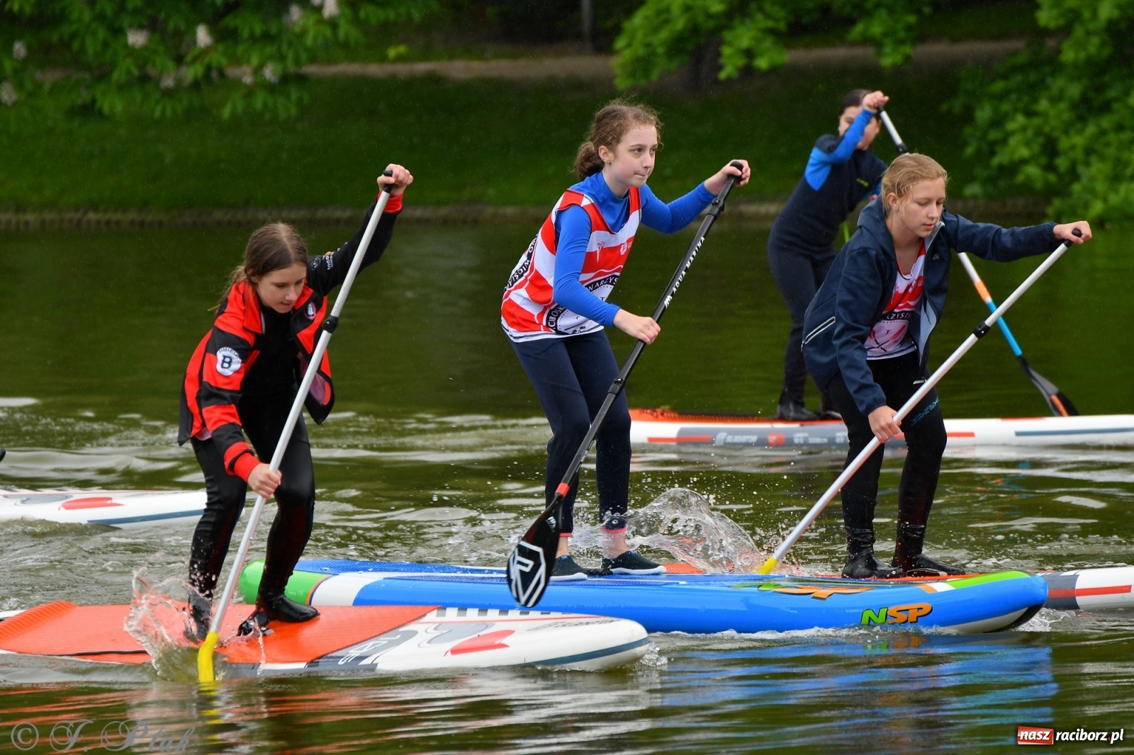 Zdjęcie w galerii na portalu naszraciborz.pl: Racibórz. Wielkie wiosłowanie w parku m. Roth wiadomości z regionu