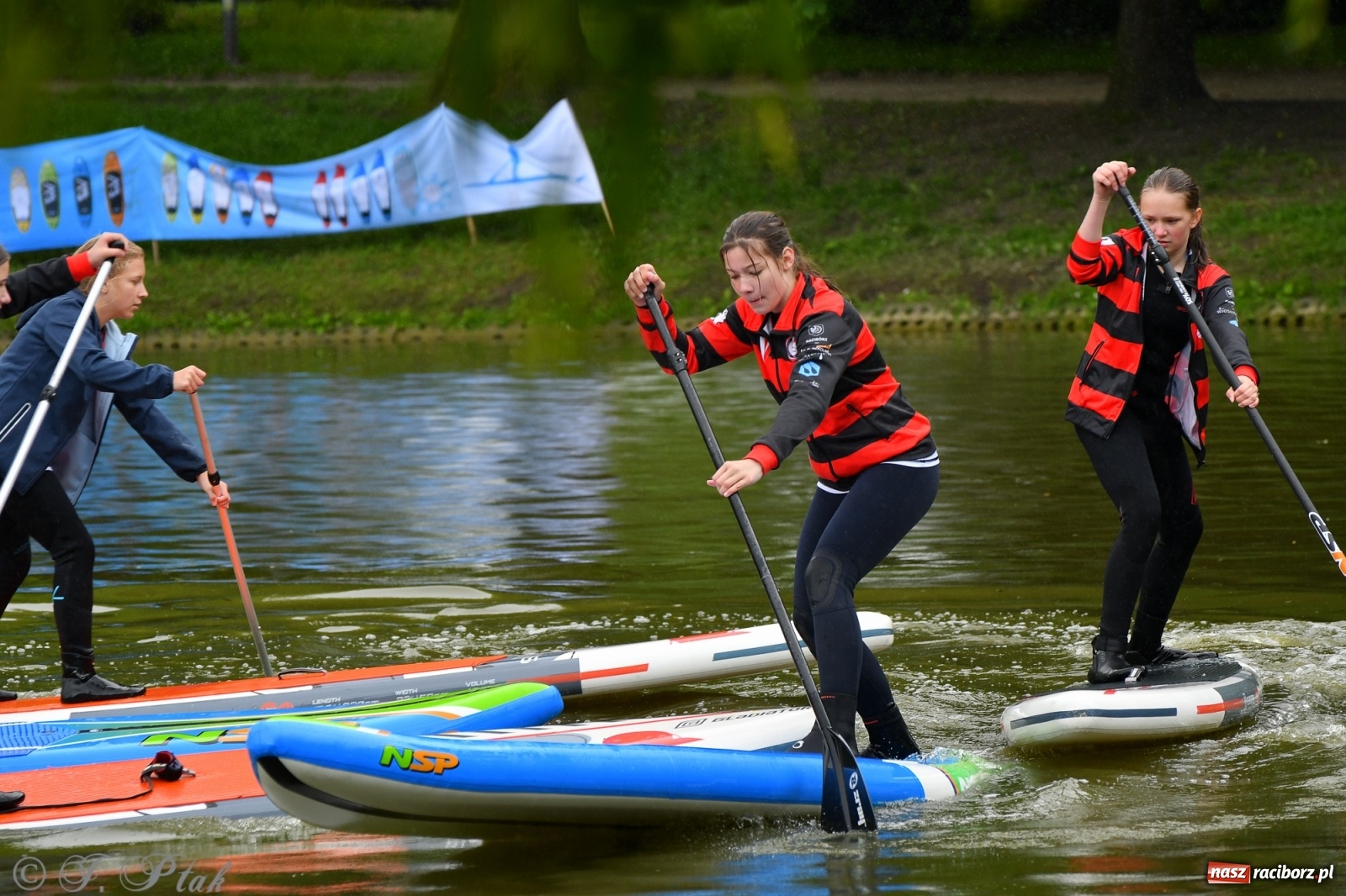 Zdjęcie w galerii na portalu naszraciborz.pl: Racibórz. Wielkie wiosłowanie w parku m. Roth wiadomości z regionu