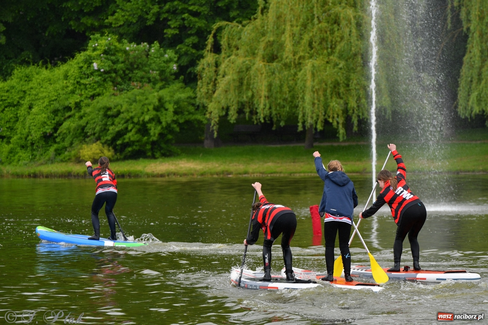 Zdjęcie w galerii na portalu naszraciborz.pl: Racibórz. Wielkie wiosłowanie w parku m. Roth wiadomości z regionu