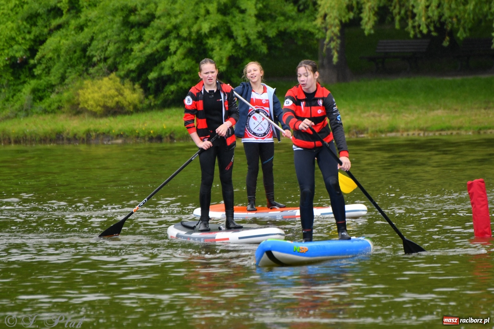 Zdjęcie w galerii na portalu naszraciborz.pl: Racibórz. Wielkie wiosłowanie w parku m. Roth wiadomości z regionu