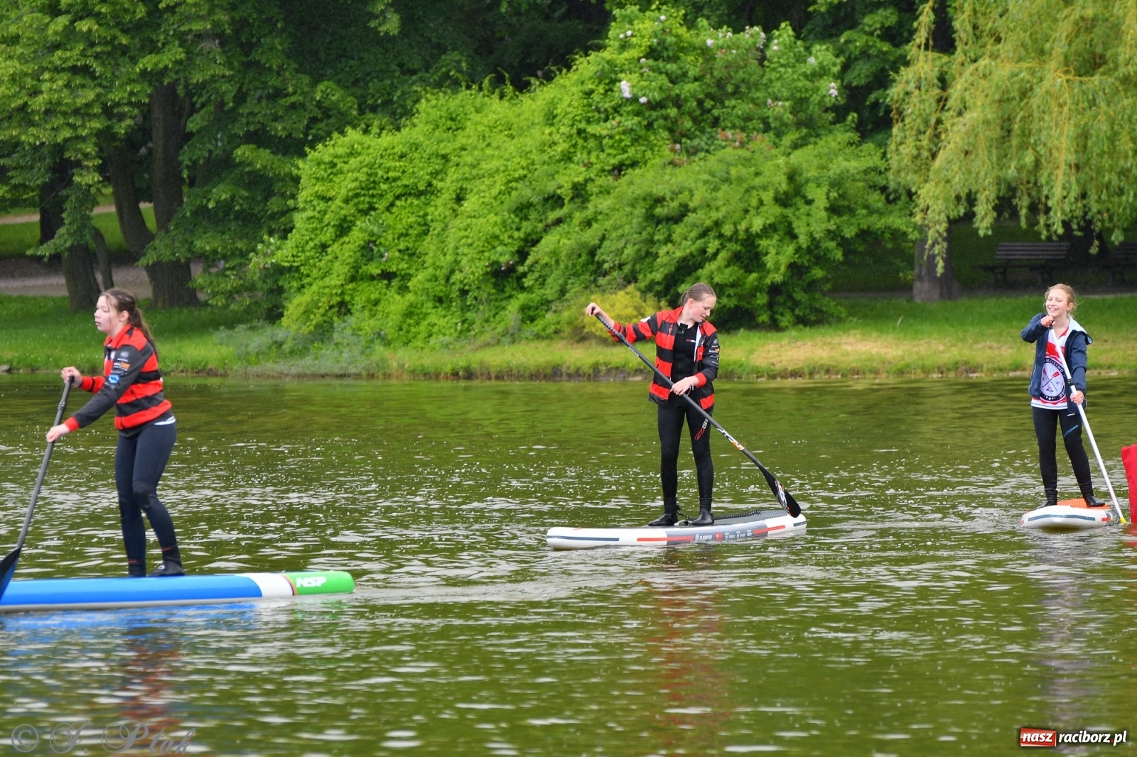 Zdjęcie w galerii na portalu naszraciborz.pl: Racibórz. Wielkie wiosłowanie w parku m. Roth wiadomości z regionu