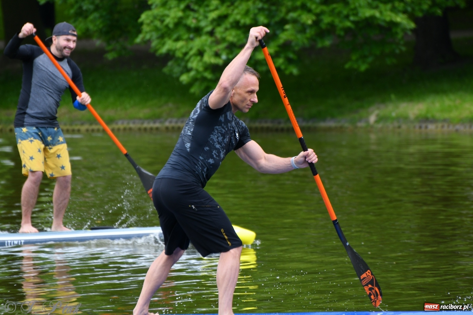Zdjęcie w galerii na portalu naszraciborz.pl: Racibórz. Wielkie wiosłowanie w parku m. Roth wiadomości z regionu