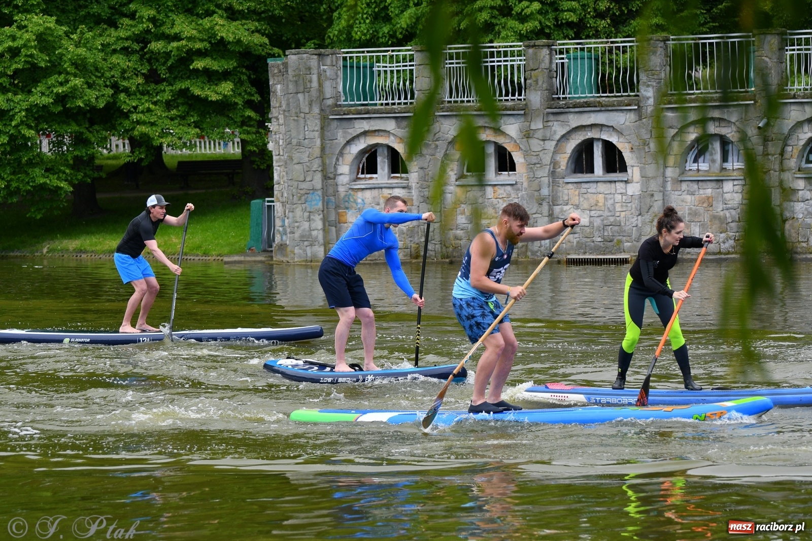 Zdjęcie w galerii na portalu naszraciborz.pl: Racibórz. Wielkie wiosłowanie w parku m. Roth wiadomości z regionu