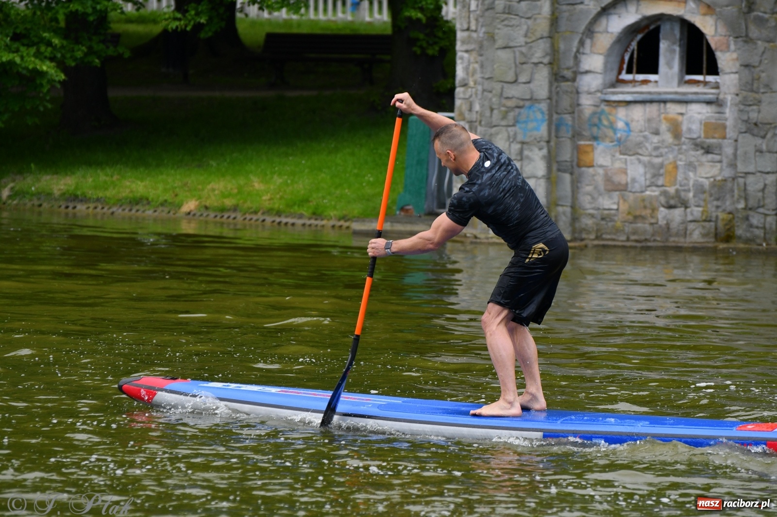 Zdjęcie w galerii na portalu naszraciborz.pl: Racibórz. Wielkie wiosłowanie w parku m. Roth wiadomości z regionu