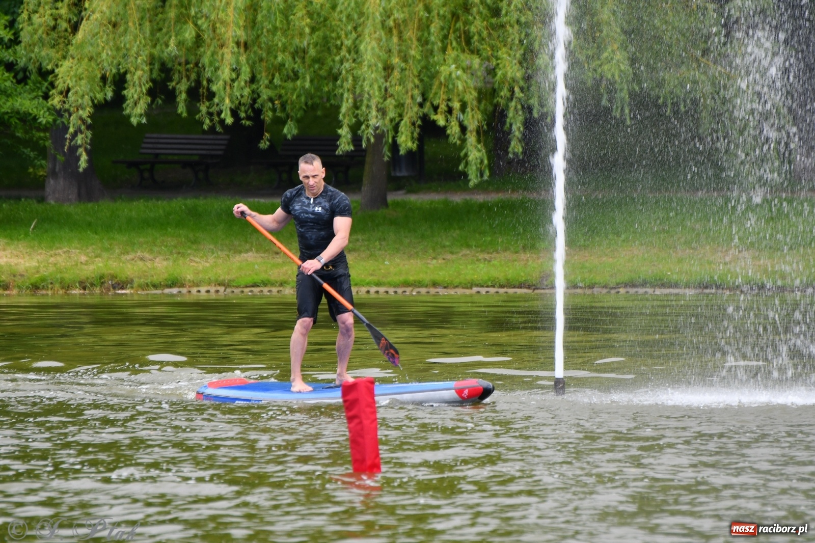 Zdjęcie w galerii na portalu naszraciborz.pl: Racibórz. Wielkie wiosłowanie w parku m. Roth wiadomości z regionu