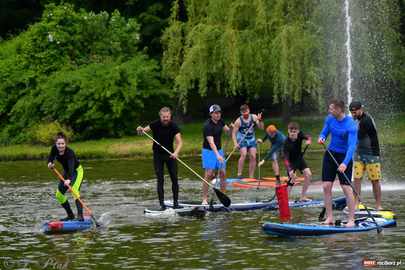 Zdjęcie w galerii na portalu naszraciborz.pl: Racibórz. Wielkie wiosłowanie w parku m. Roth wiadomości z regionu